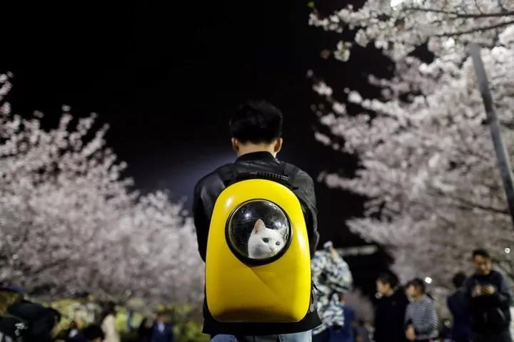 色情 免费 电影
