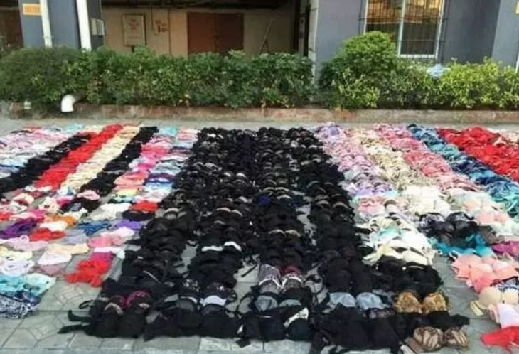 偷原味内衣_女士原味二手内衣图片(3)