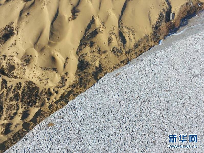 看看中国人日逼