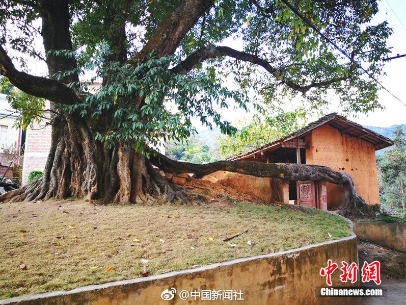 欧美亚洲天堂