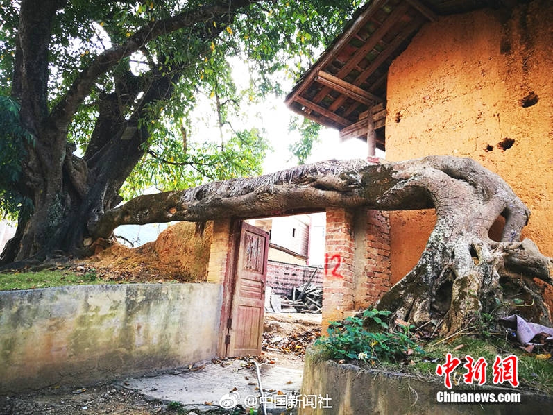 濃厚接吻