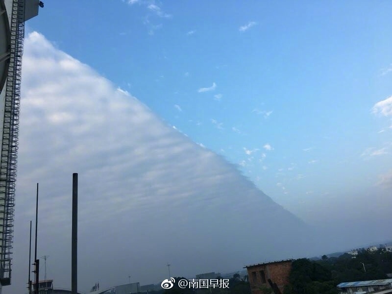 台灣自拍
