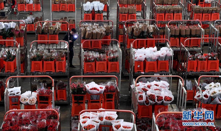 国产精品第二页