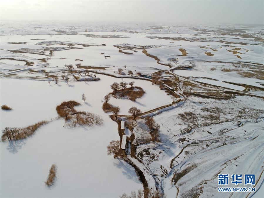 一区二区三区欧美