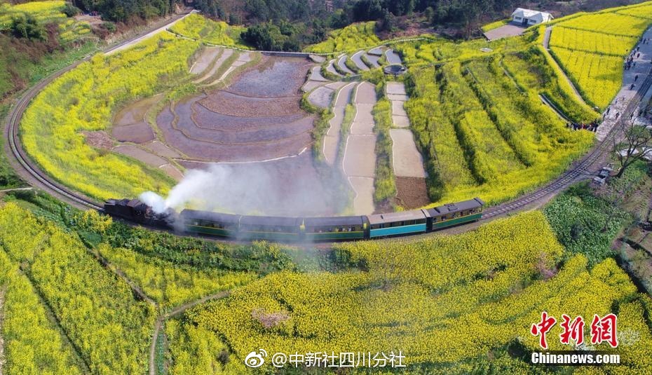 无码 色情 网站
