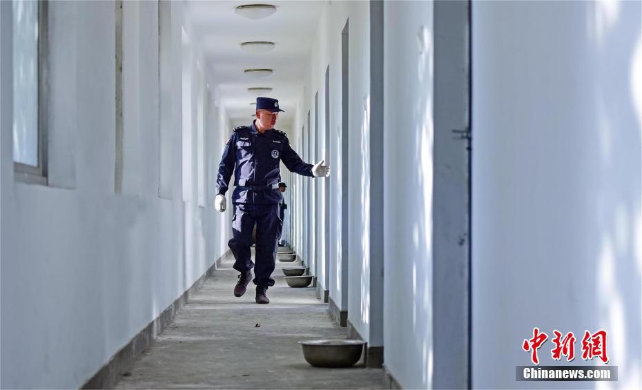一区二区三区高清