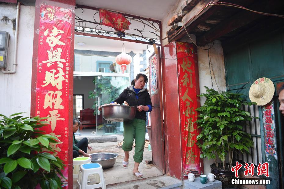 黄片免费区