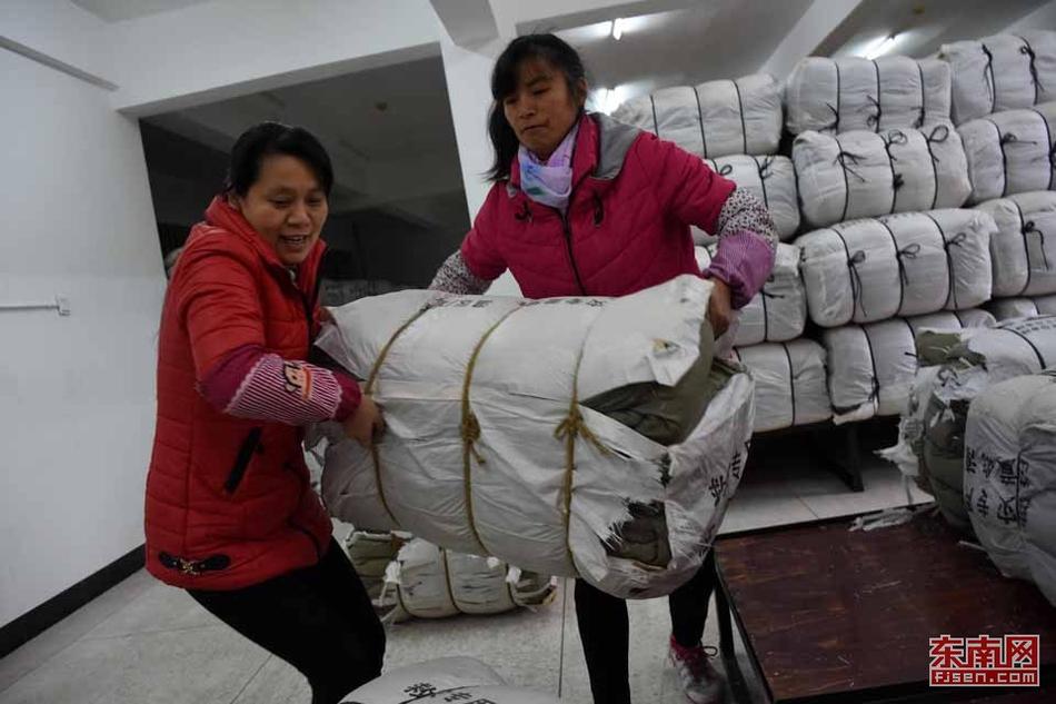登录黄色网站在线看