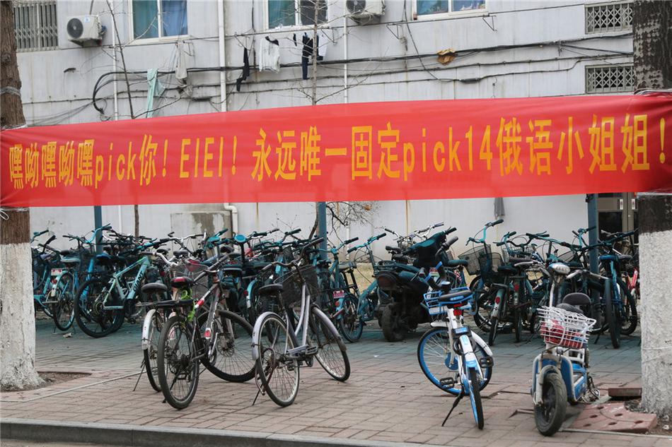 免费操逼视频软件