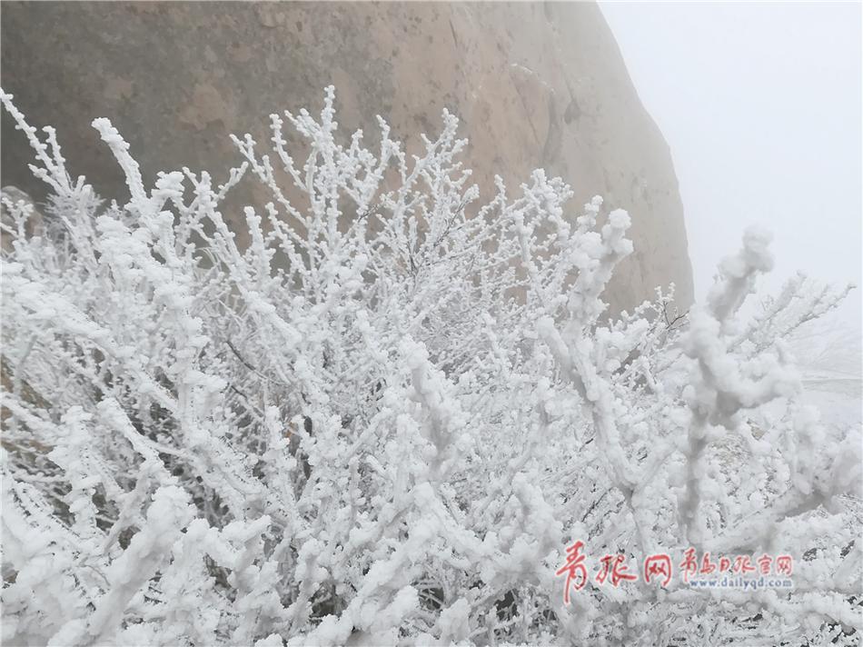 陳冠希與陳文媛