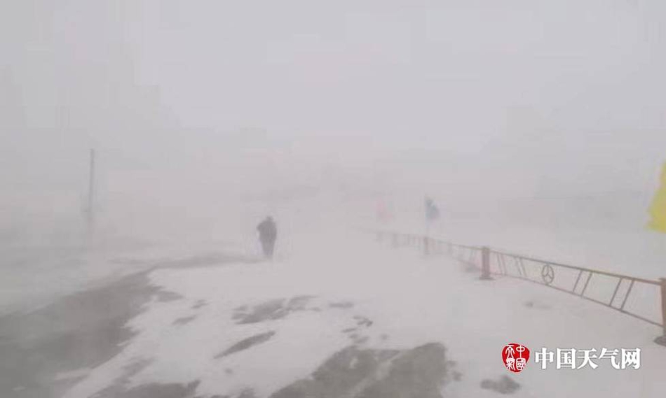 国产揄拍熟女视频