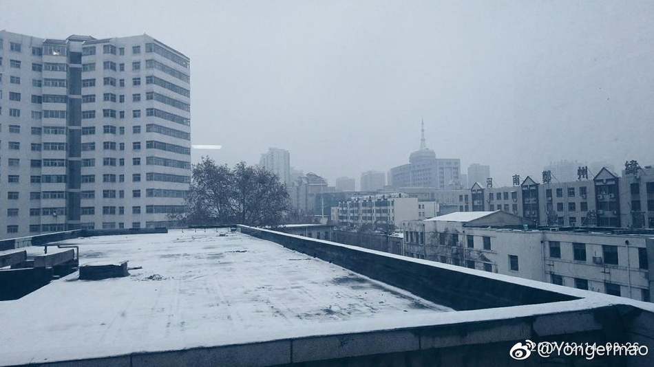 张柏芝一级私密毛处