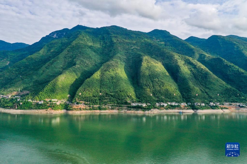 鍾義浩：沒什麽點評的輸了就輸了，看錄像回去好好總結