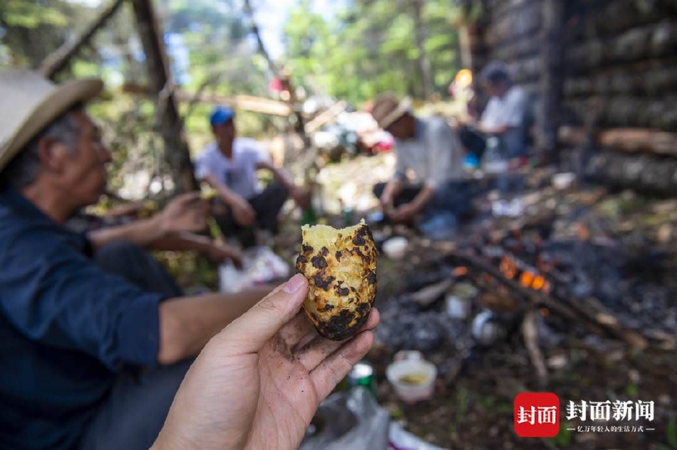 黄H视频在线观看视频