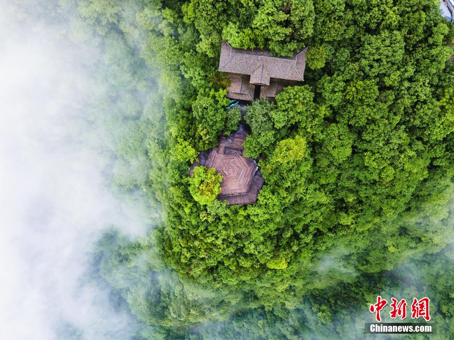 影音先锋大黑吊大黑吊大黑吊大黑吊日吊网站
