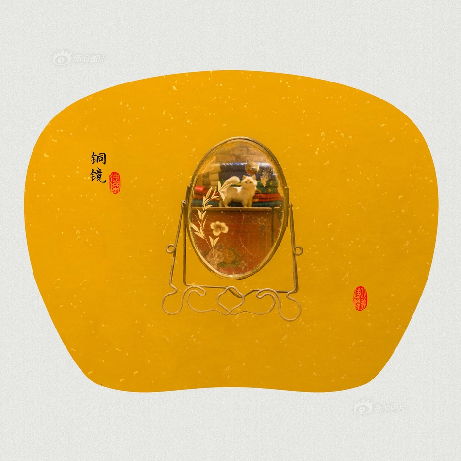 Av色色导航