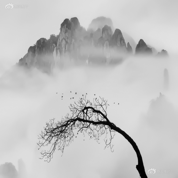 国产一级做a爱片久久毛片a