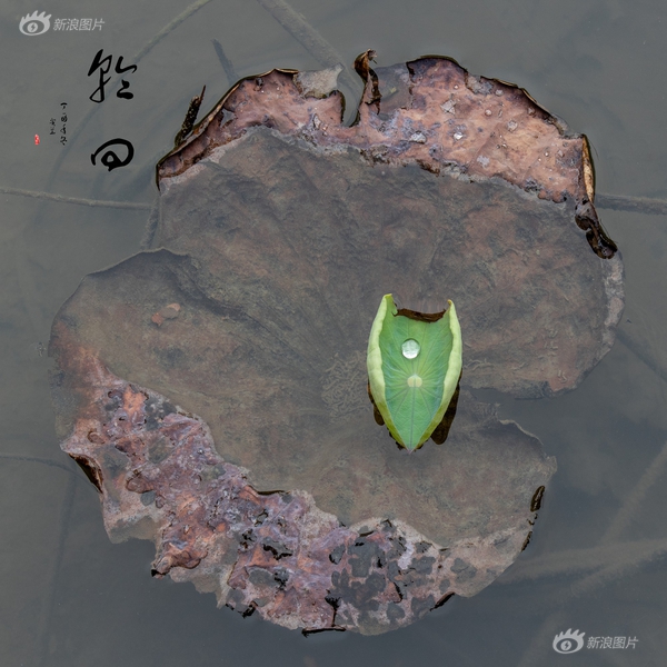 日韩美少妇大尺度私拍阴户图片