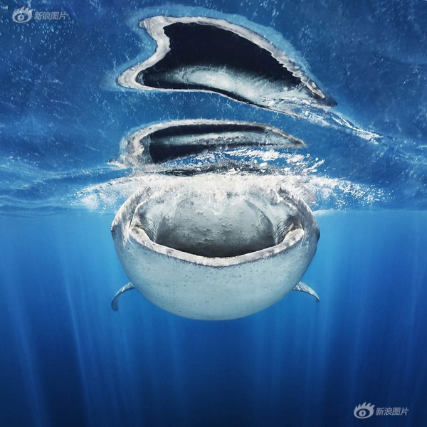 陳艾熙