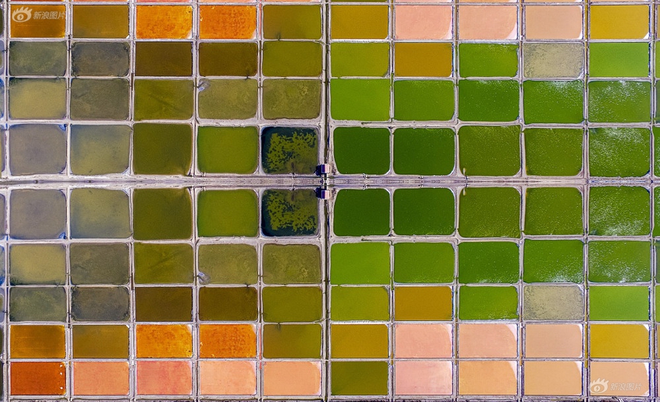 大陆Av毛片