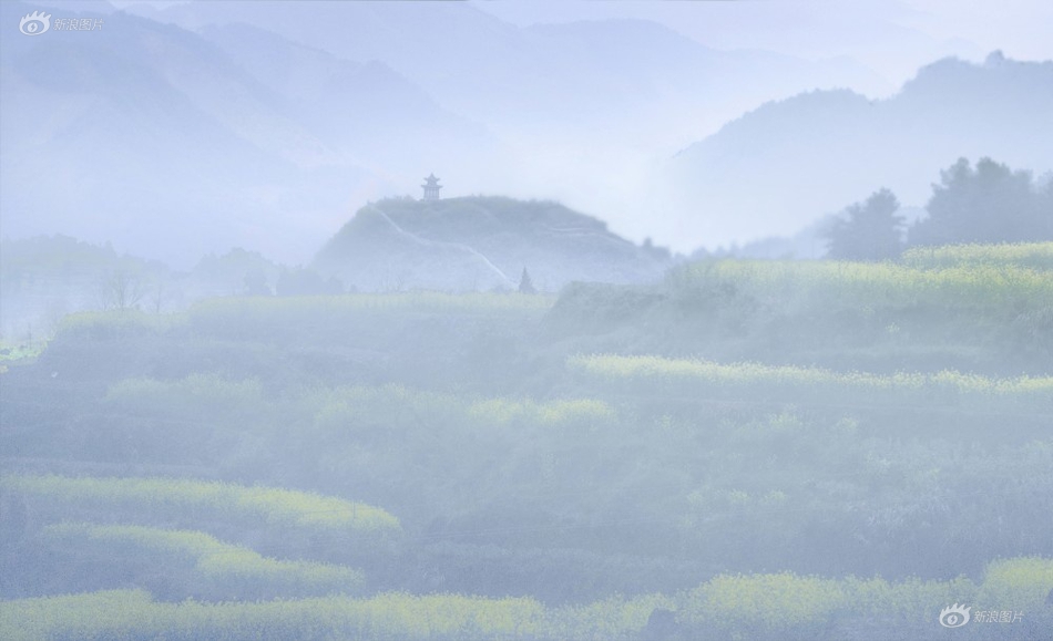 国产免费久久