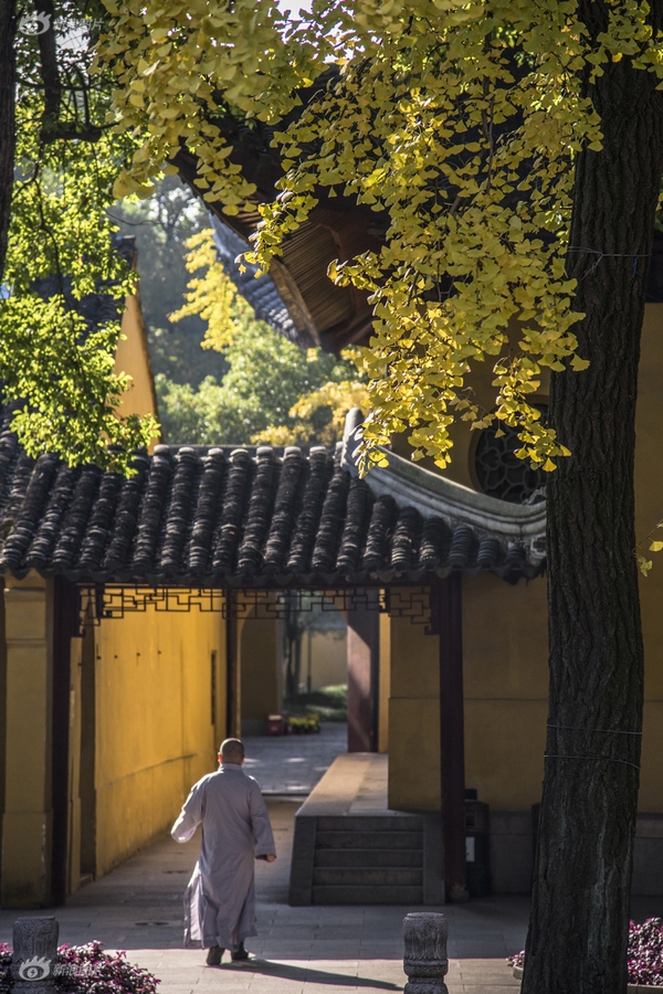 天堂在线8