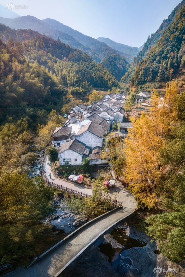 英黄色网站