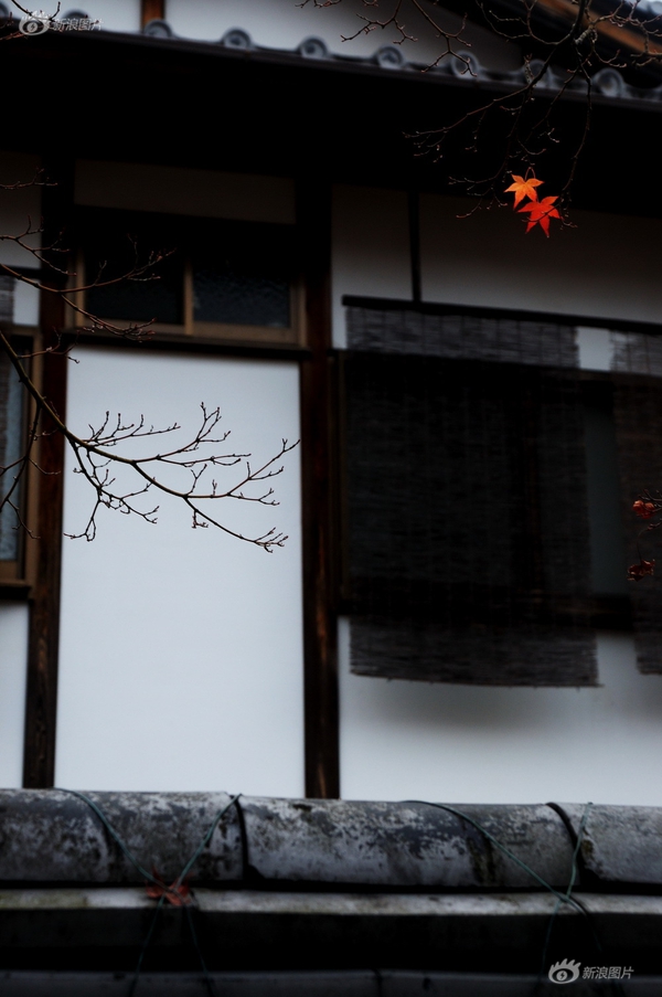 怡红院