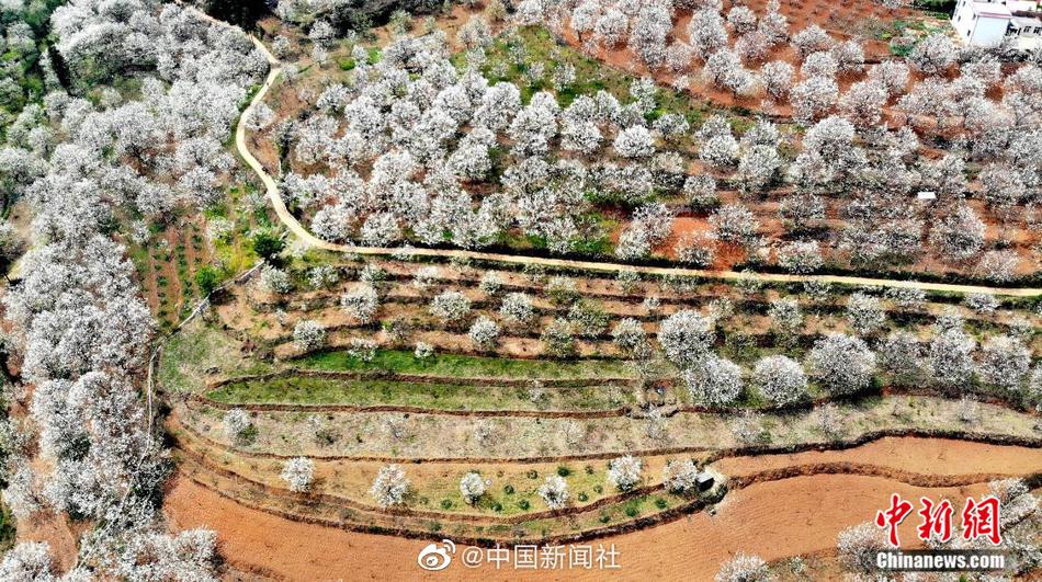 ChinaXXX对白刺激仙踪林