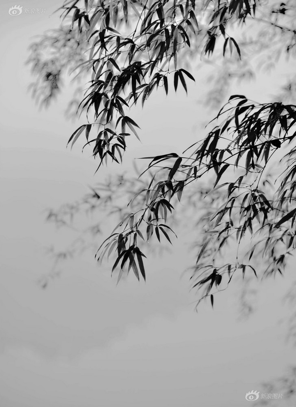欧美    ZZZ物交