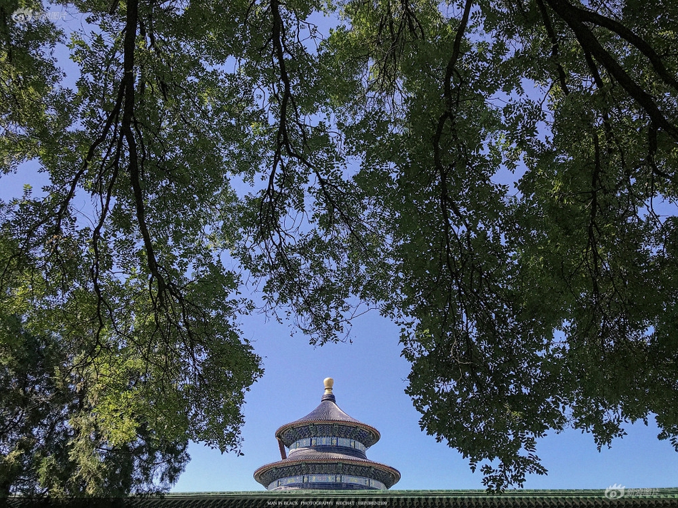 无码人妻AⅤ一区二区三区玉蒲团