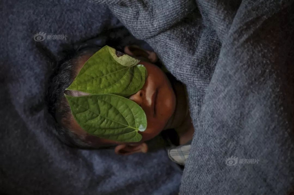 少妇黄色网战