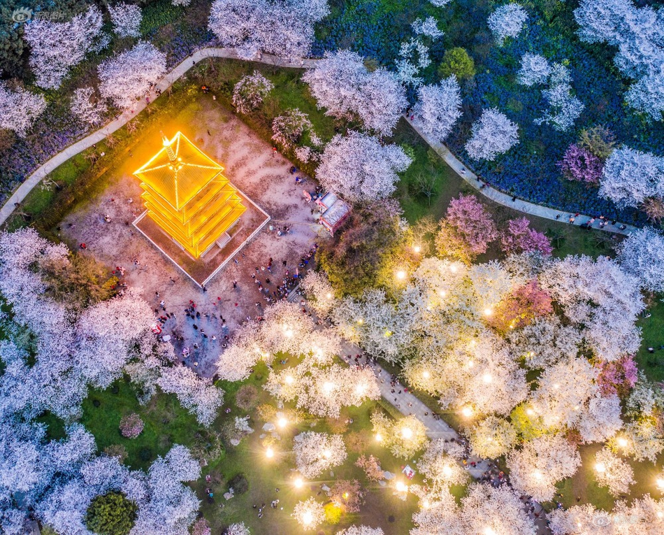 三坂物语，风车动漫的探索与体验
