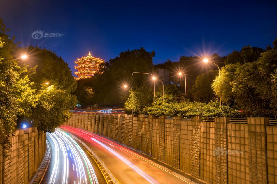亚洲砖区区免费