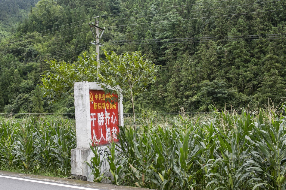 污网