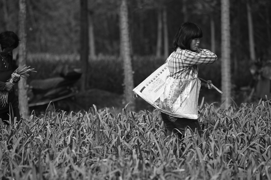 女仆～婬辱蜜芽～动漫