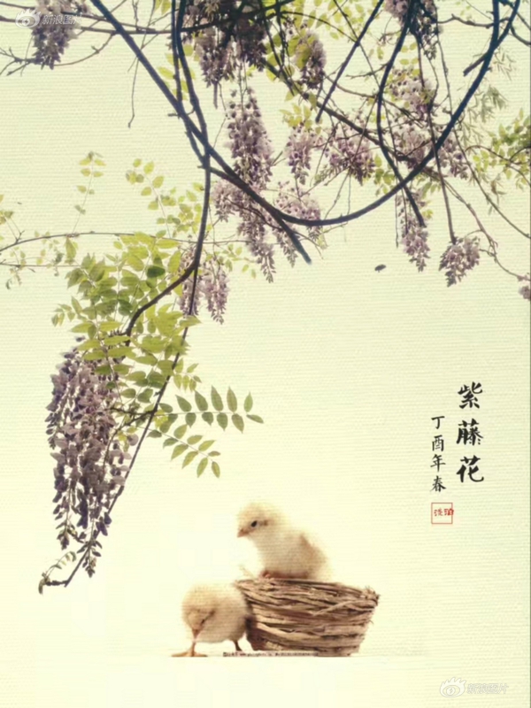 波多野结衣欲求不满的熟女电影