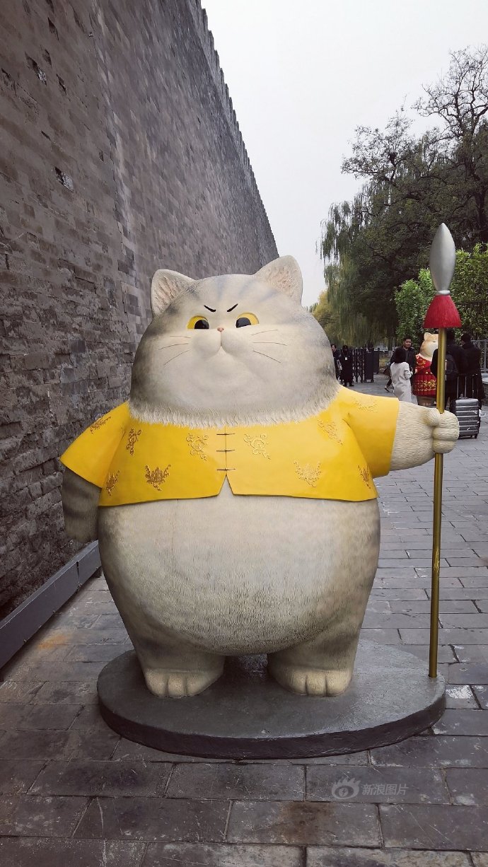 大乱交几把