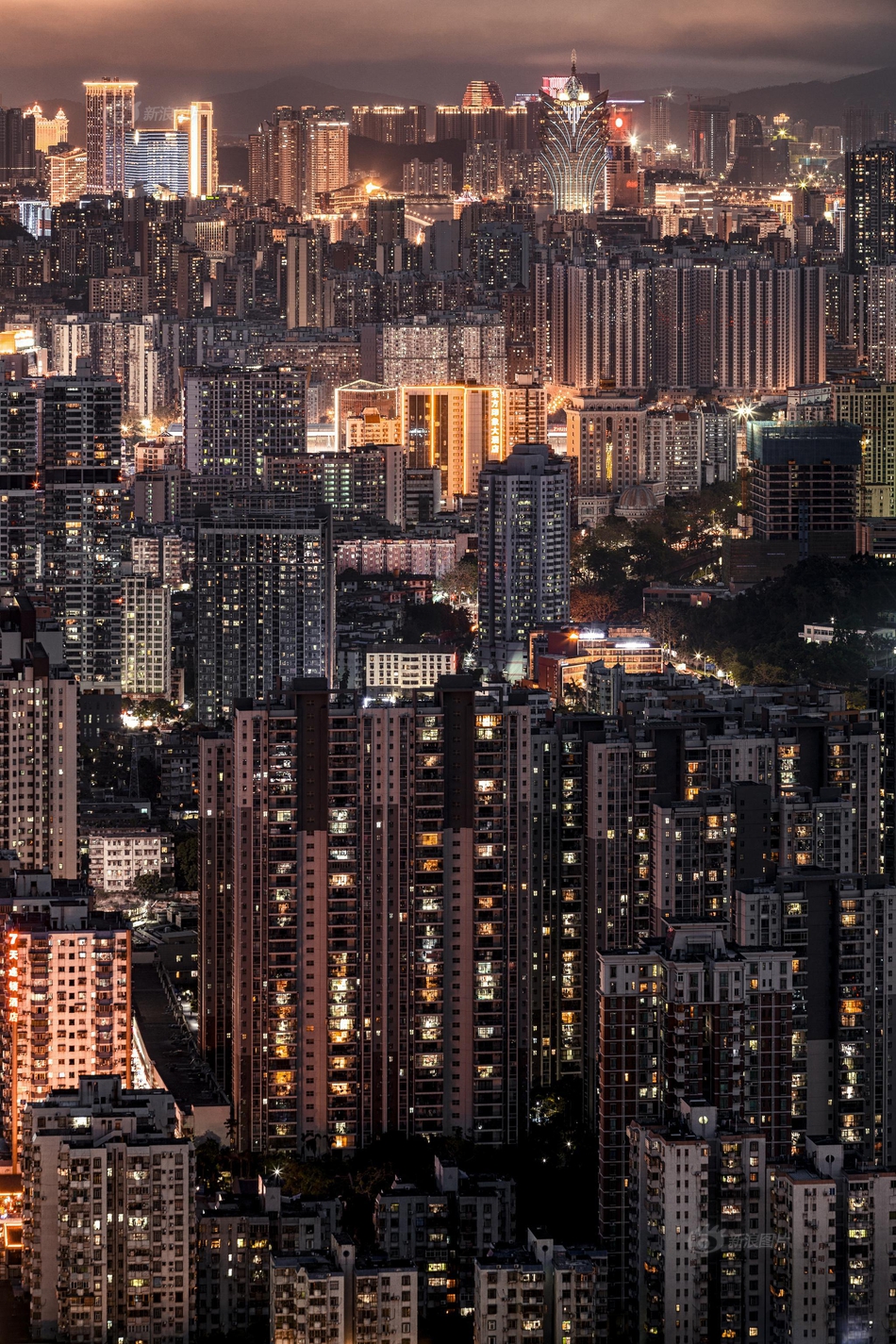 被学长抱进小树林c个爽