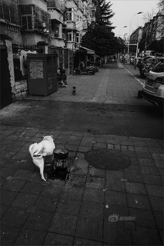 捷克按摩