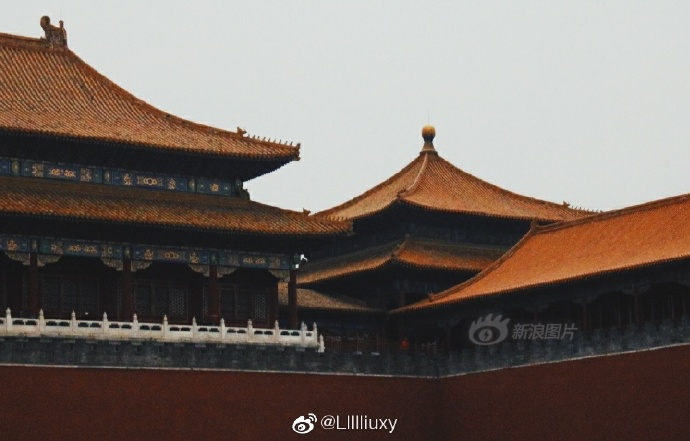 午夜一区