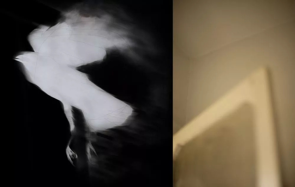 欧美 熟女 视频