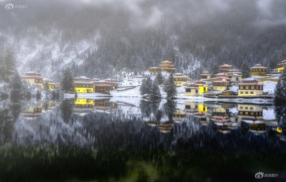 高山真由