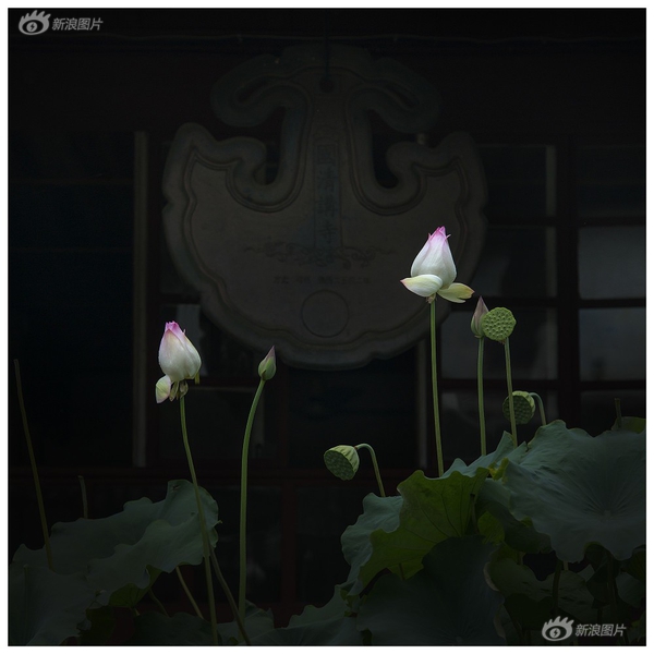 17C丨国产丨精品入口