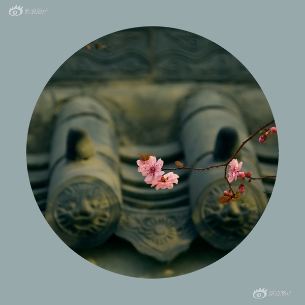 狼友视频在线