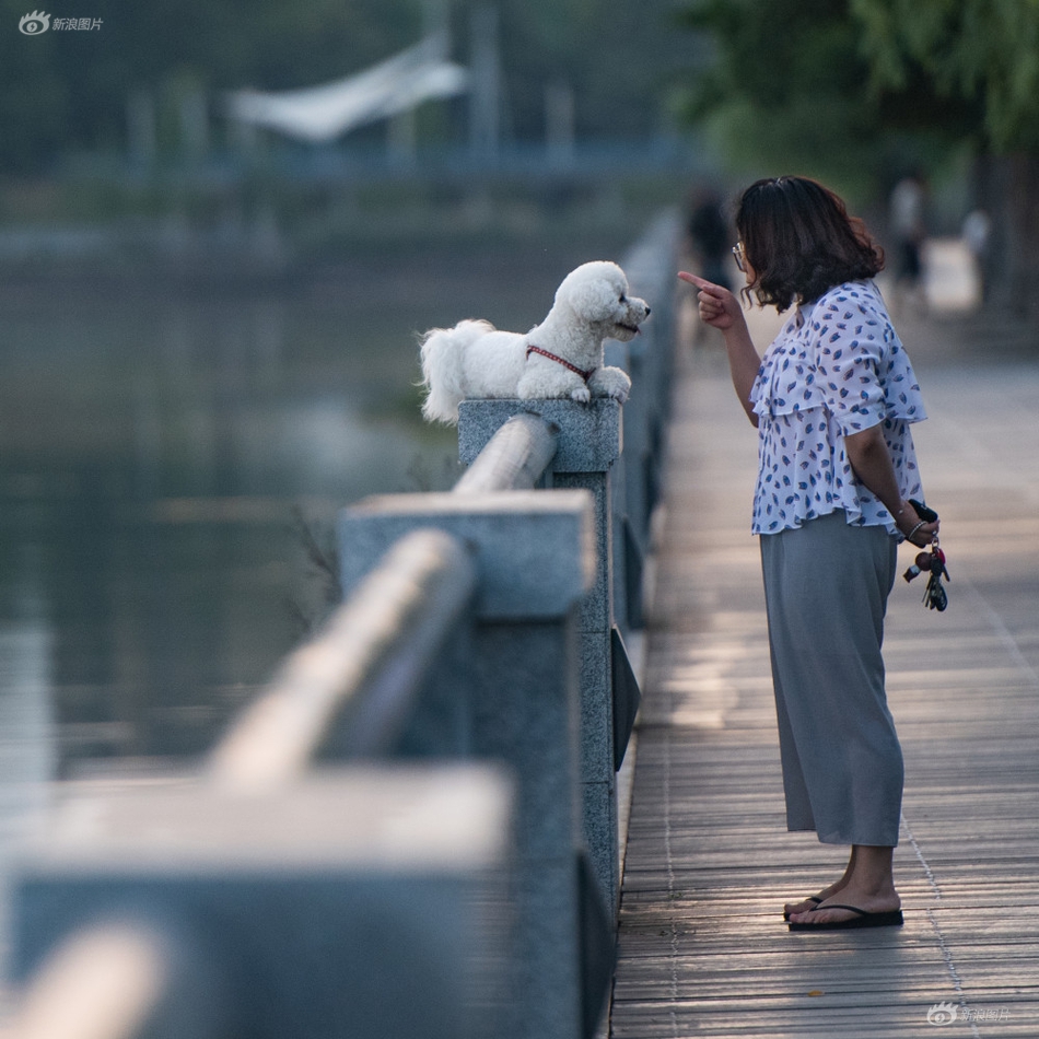 动漫美女被 吸乳羞羞的