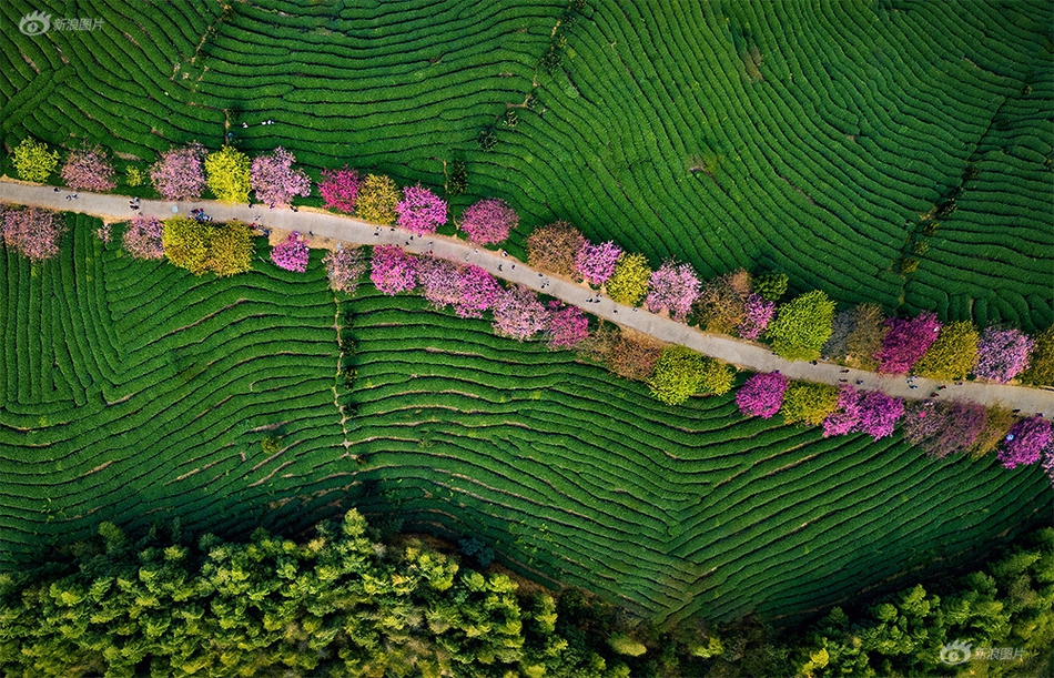 辛尤里