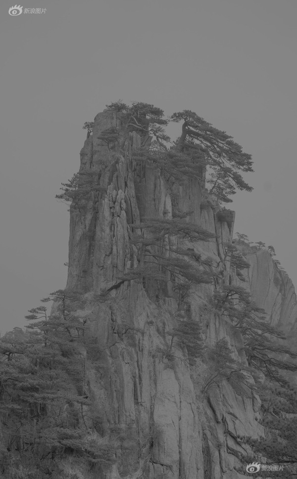 黄色 中文 网