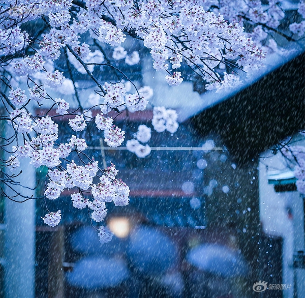 汪永芳