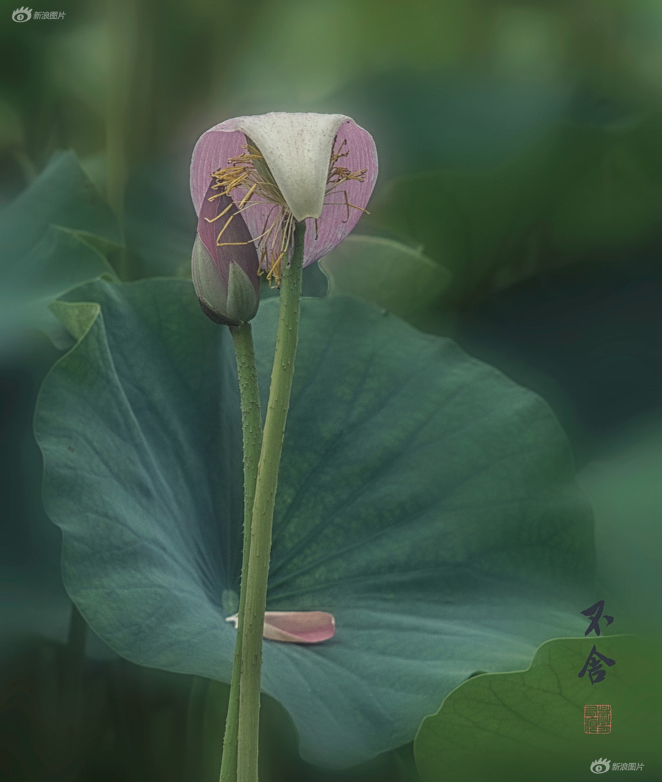 色玖玖